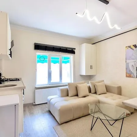 Luxurious In Taksim アパート